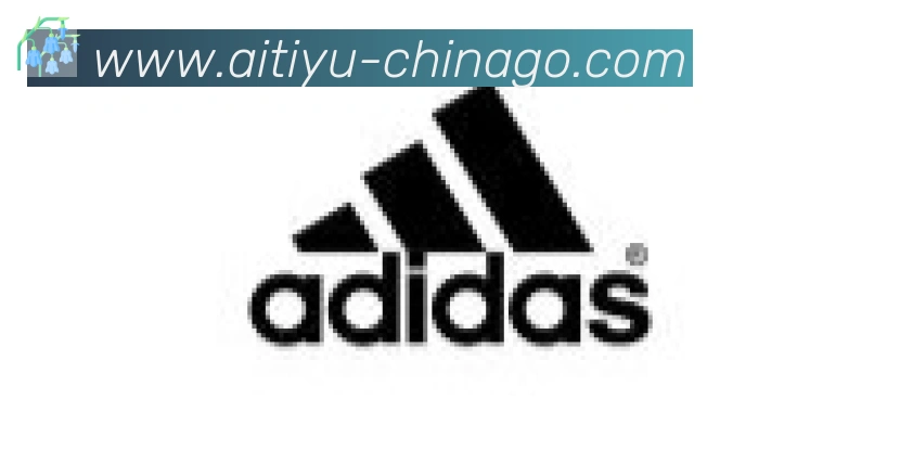 爱体育合作伙伴